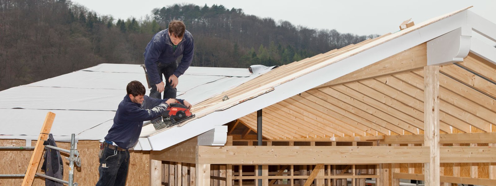 services-01 tomrer-l